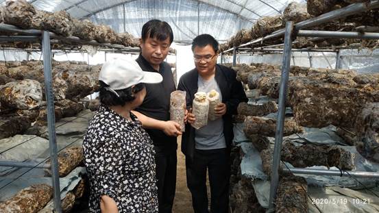 ba20fc94383c3c926b8fe31b49fbf50