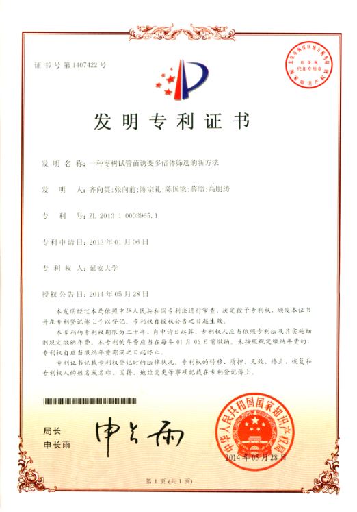 专利证书